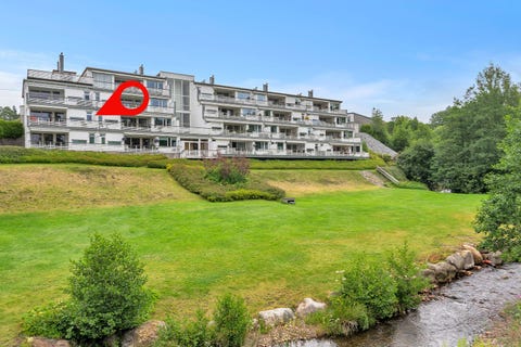 Bilde 1 av annonsen