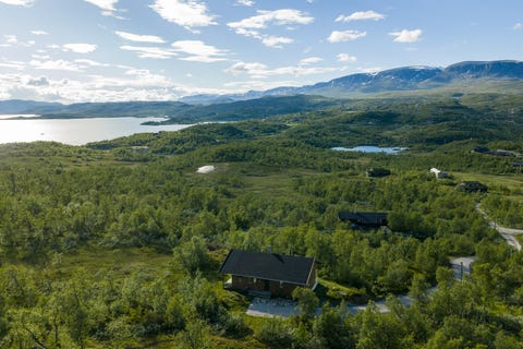 Bilde 1 av annonsen