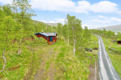 Bilde 1 av annonsen