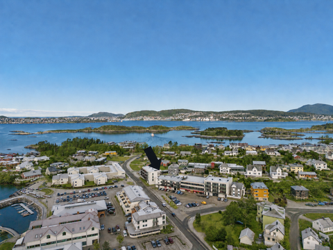 Bilde 1 av annonsen