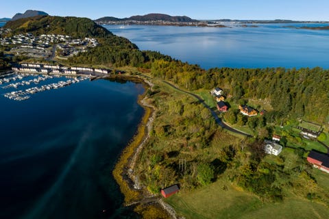 Bilde 1 av annonsen