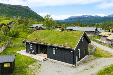 Bilde 2 av annonsen
