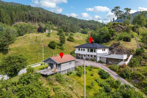 Bilde 1 av annonsen
