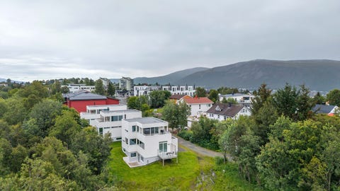 Bilde 1 av annonsen