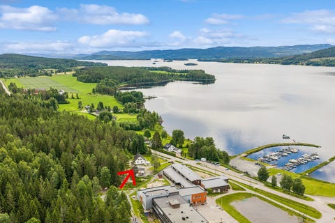 Bilde 1 av annonsen