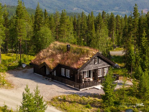Bilde 2 av annonsen