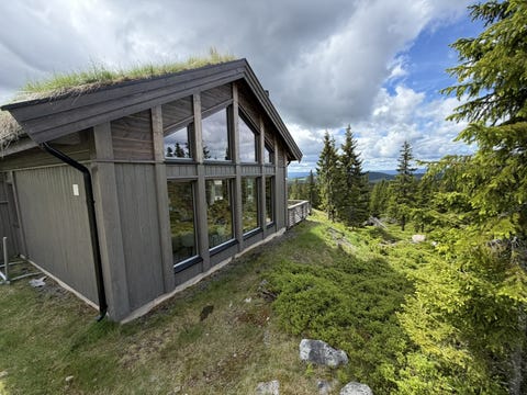 Bilde 1 av annonsen