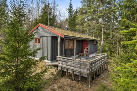 Bilde 1 av annonsen
