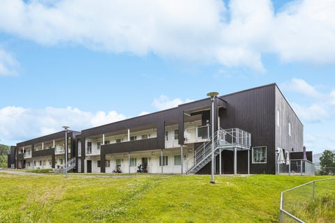 Bilde 1 av annonsen