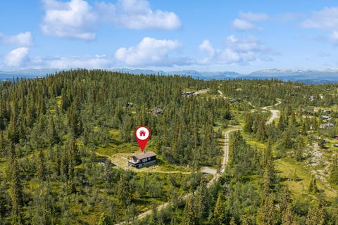 Bilde 1 av annonsen