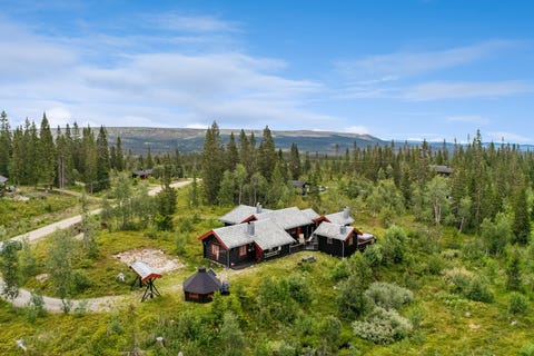 Bilde 1 av annonsen