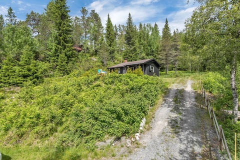Bilde 2 av annonsen