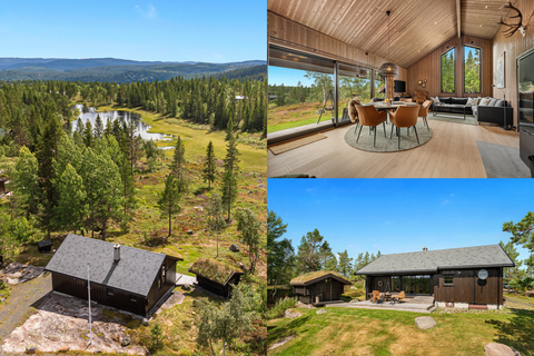 Bilde 1 av annonsen