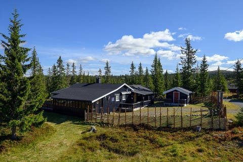 Bilde 1 av annonsen