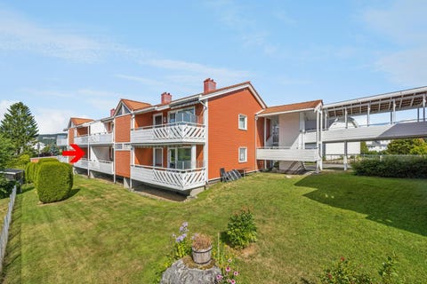 Bilde 1 av annonsen