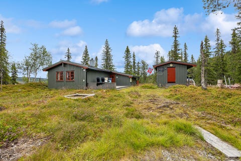 Bilde 1 av annonsen