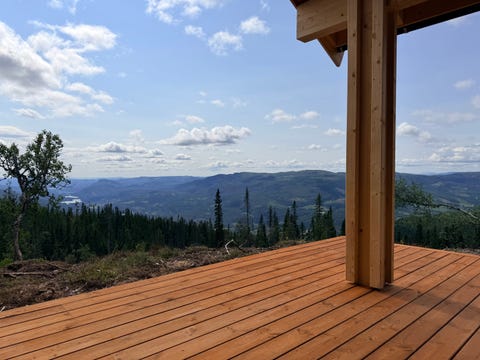 Bilde 1 av annonsen