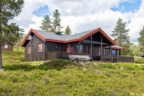 Bilde 1 av annonsen