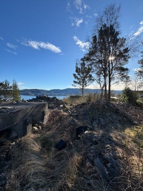 Bilde 1 av annonsen