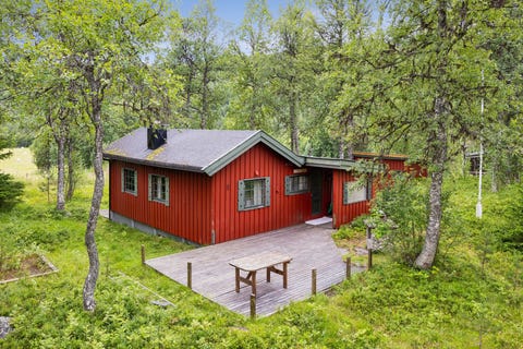 Bilde 1 av annonsen
