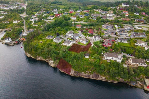 Bilde 1 av annonsen