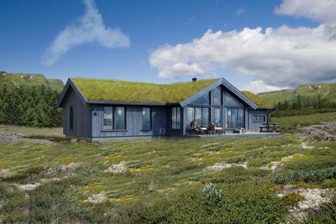 Bilde 1 av annonsen