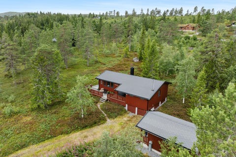 Bilde 2 av annonsen