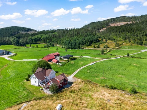 Bilde 2 av annonsen
