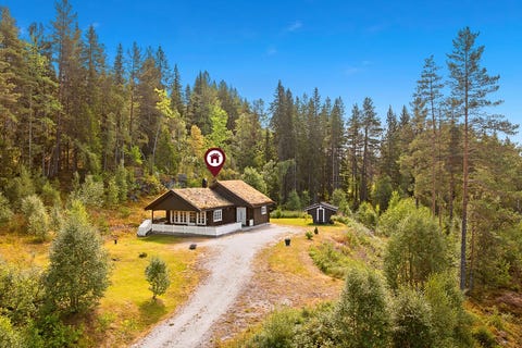 Bilde 1 av annonsen