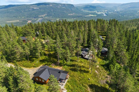 Bilde 2 av annonsen