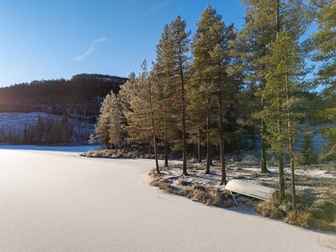Bilde 2 av annonsen