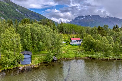 Bilde 1 av annonsen