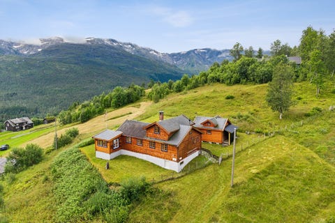 Bilde 1 av annonsen