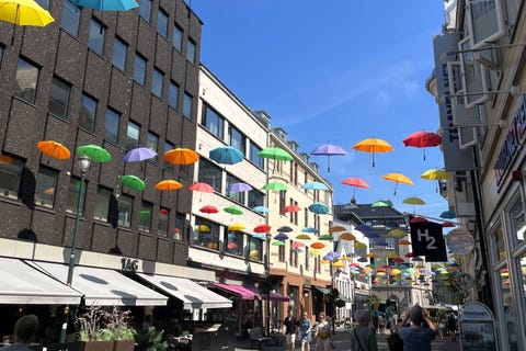 Bilde 1 av annonsen