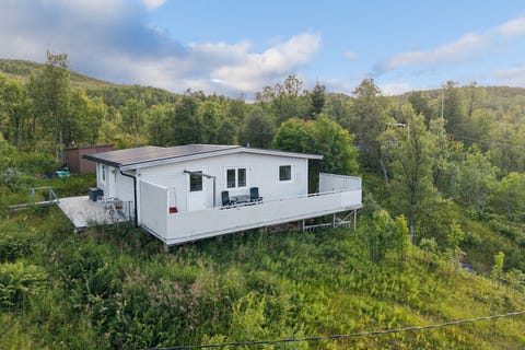Bilde 1 av annonsen