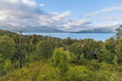 Bilde 2 av annonsen