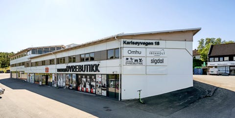 Bilde 1 av annonsen