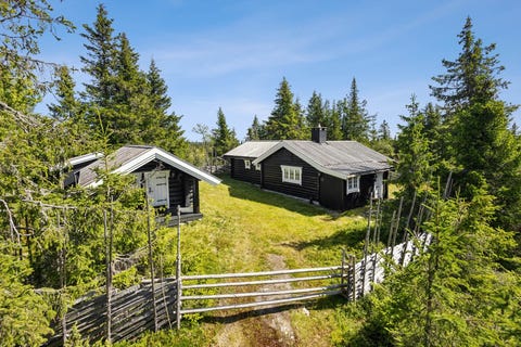 Bilde 1 av annonsen