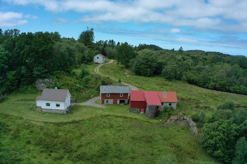 Bilde 2 av annonsen