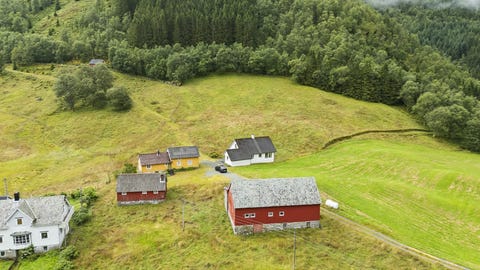 Bilde 1 av annonsen