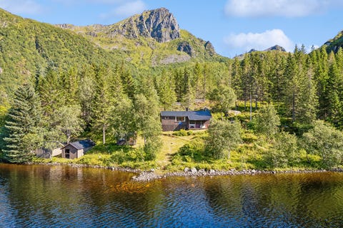 Bilde 1 av annonsen