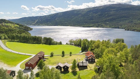 Bilde 1 av annonsen