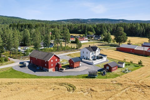 Bilde 1 av annonsen