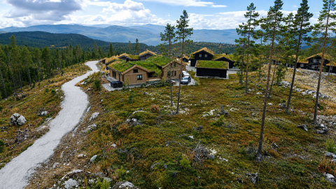 Bilde 1 av annonsen