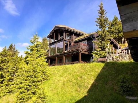 Bilde 2 av annonsen