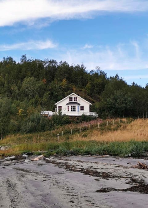 Bilde 1 av annonsen