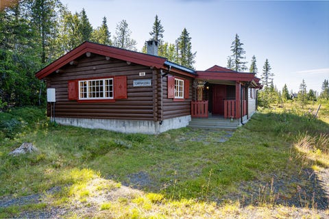 Bilde 1 av annonsen