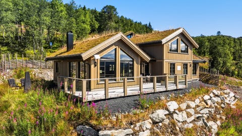 Bilde 1 av annonsen