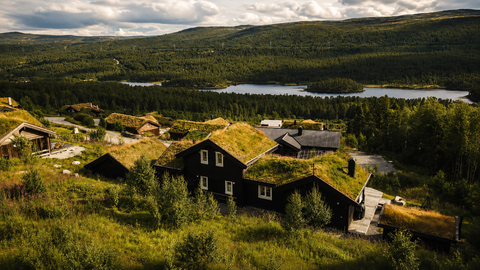 Bilde 2 av annonsen