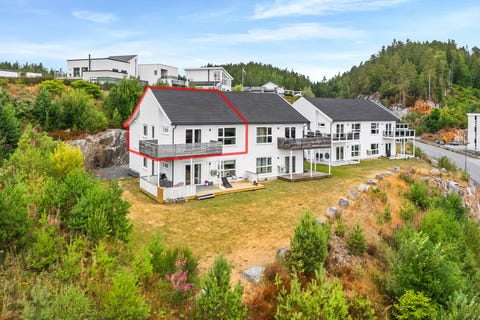 Bilde 1 av annonsen